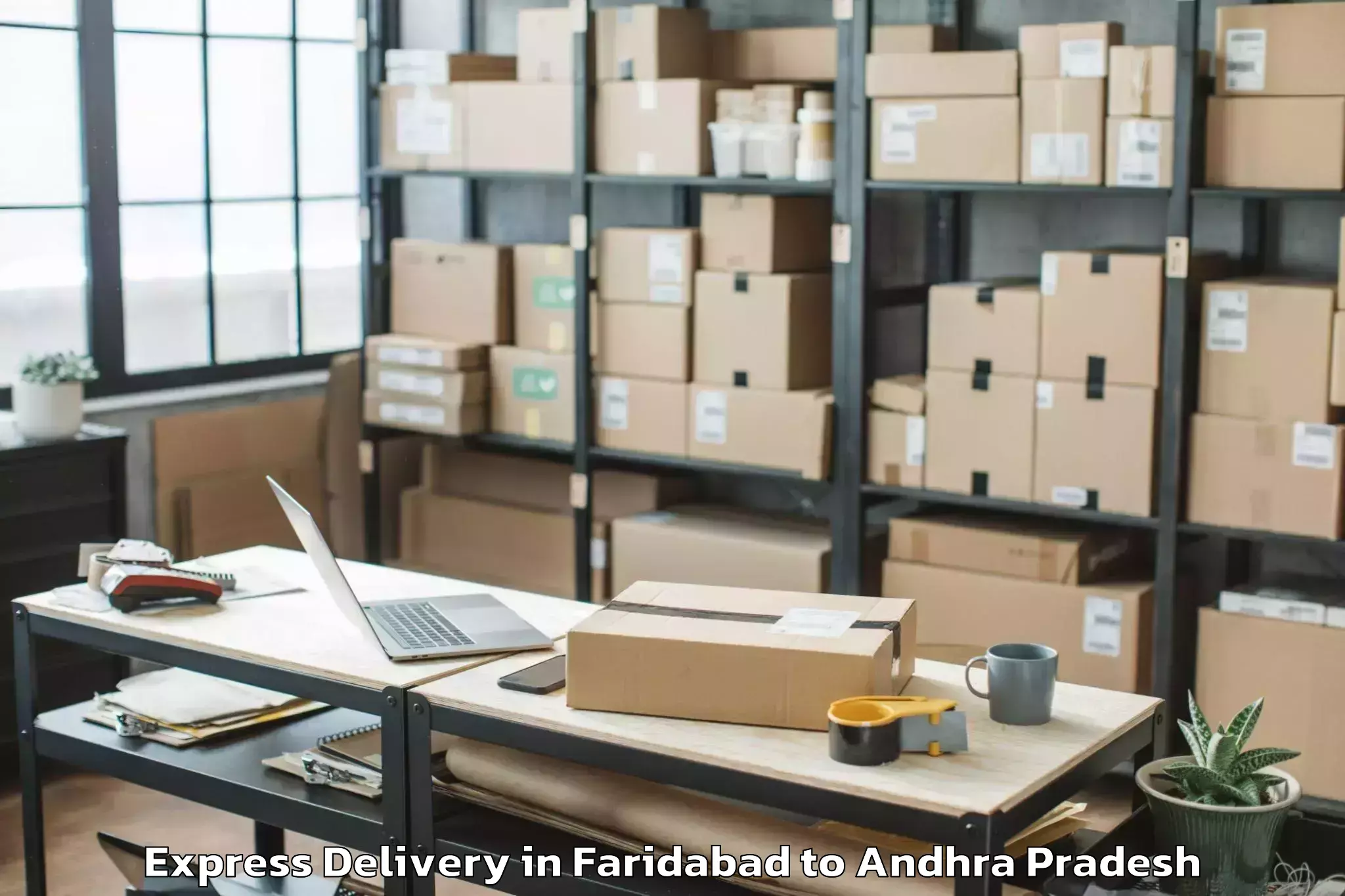 Expert Faridabad to Avanigadda Express Delivery